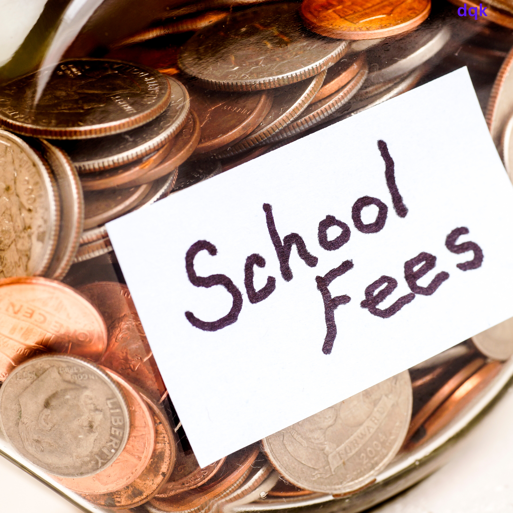 Student fee support program